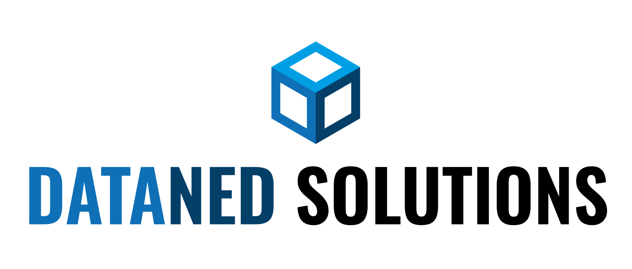 Logo DataNed Solutions